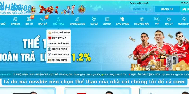 Lý do mà newbie  nên chọn thể thao của nhà cái chúng tôi để cá cược